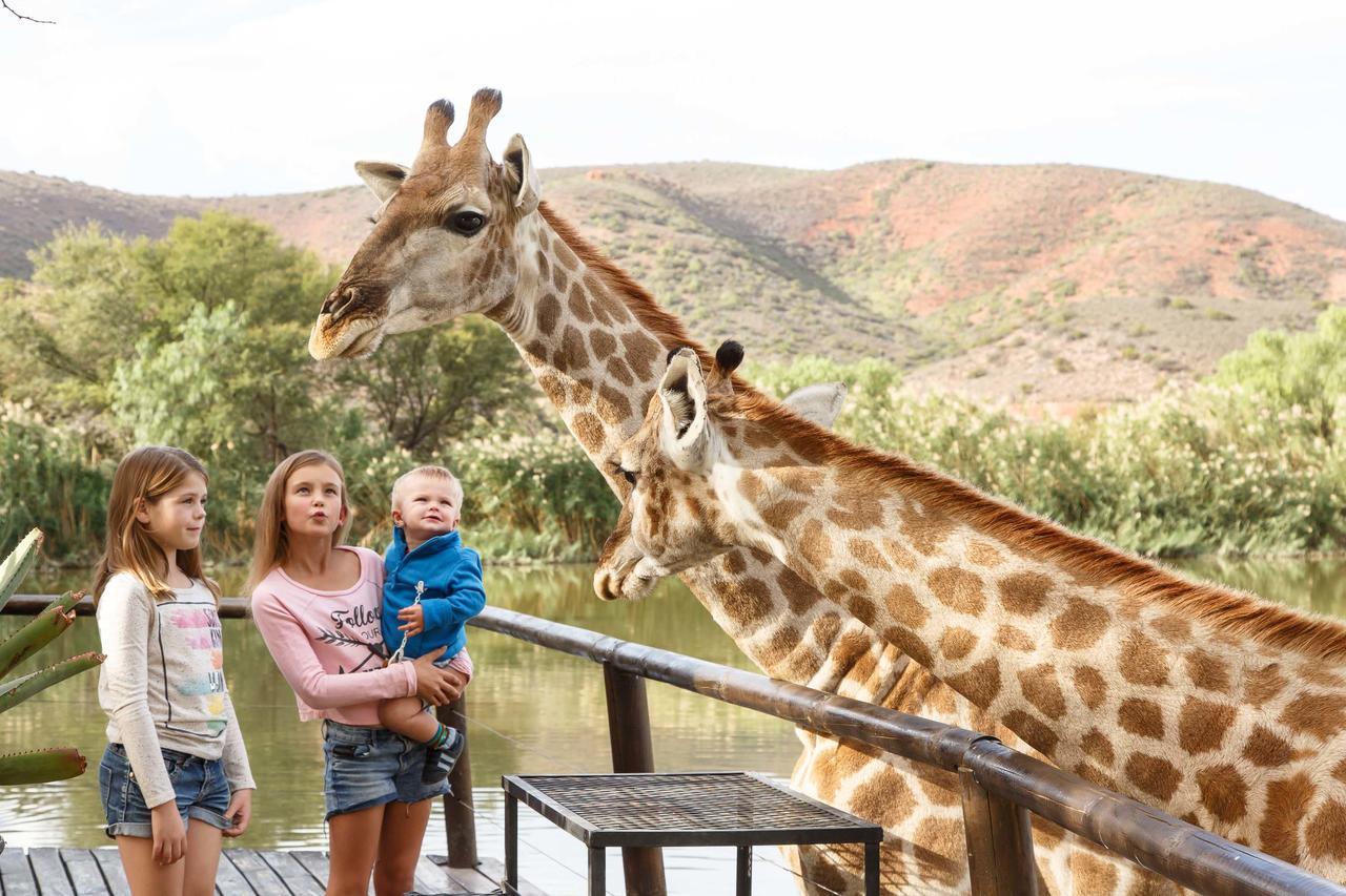 Chandelier Game Lodge Oudtshoorn Exterior photo