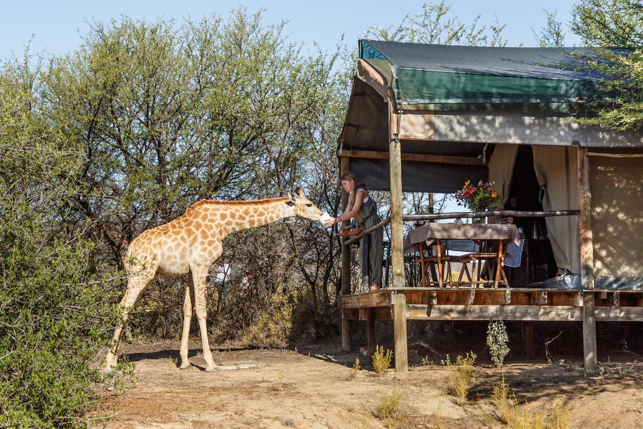 Chandelier Game Lodge Oudtshoorn Exterior photo