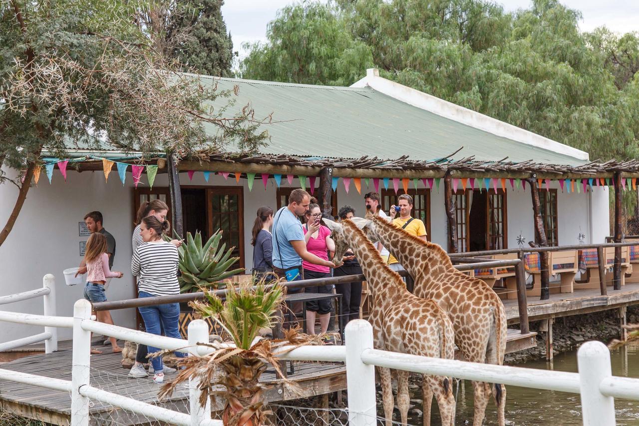 Chandelier Game Lodge Oudtshoorn Exterior photo