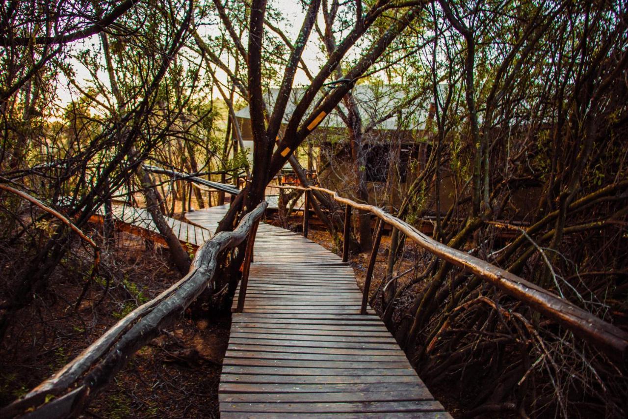 Chandelier Game Lodge Oudtshoorn Exterior photo